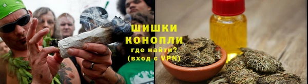 индика Наволоки