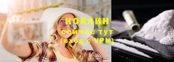 индика Наволоки
