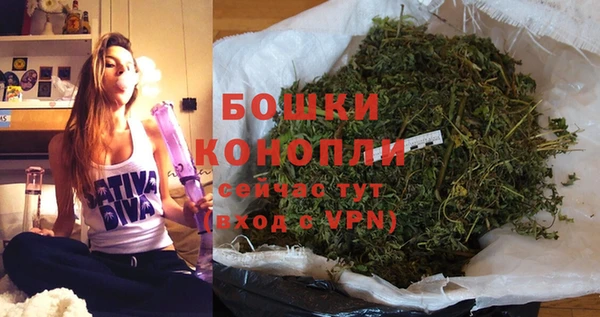 индика Наволоки