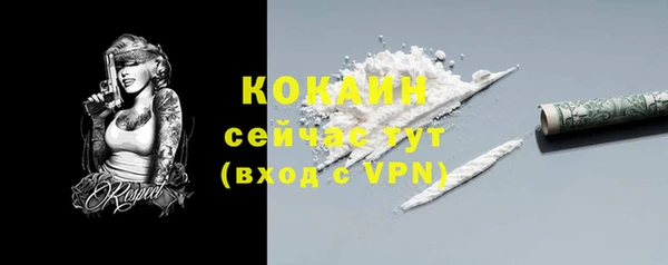 мяу мяу мука Надым