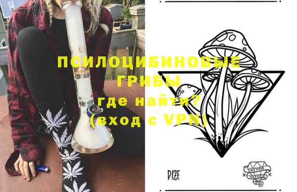 индика Наволоки