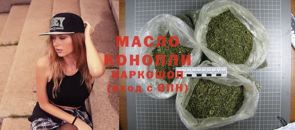 индика Наволоки