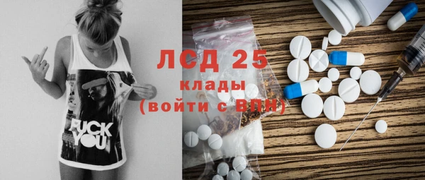 индика Наволоки
