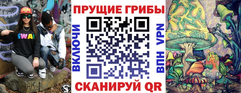 Купить  Зеленоградск  Псилоцибиновые грибы мицелий 